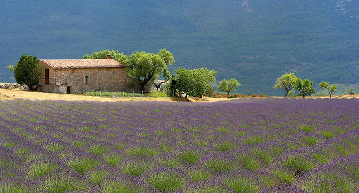 provence