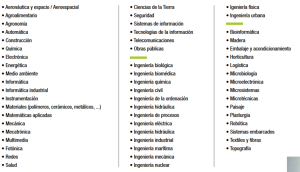 dominios de estudio en ingenieria